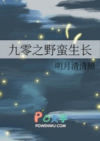 重生九零之野性时代11