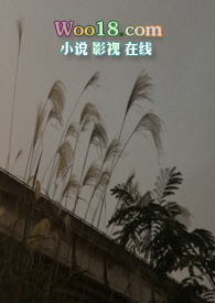隐秘小说
